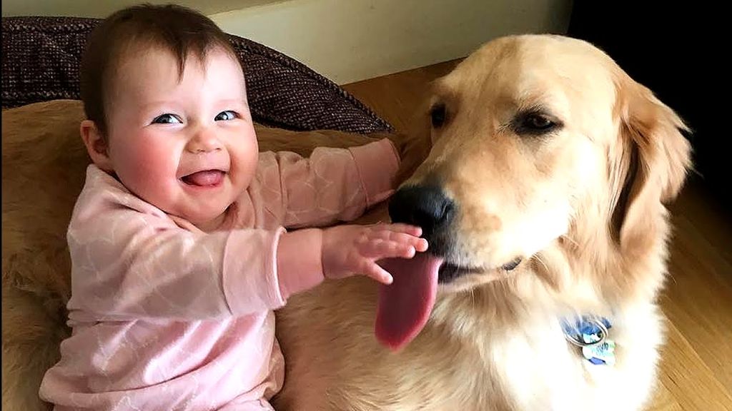 Μωράκι ΤΡΕΛΑΙΝΕΤΑΙ στα γέλια με αυτά που κάνει ο σκύλος του! | ΒΙΝΤΕΟ