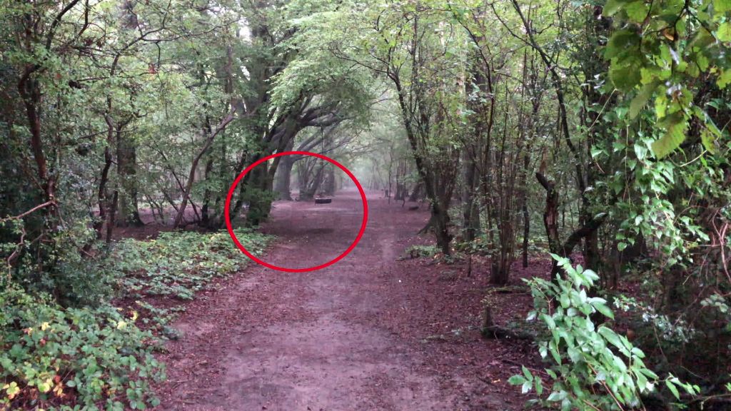 Ανατριχίλα: «Φάντασμα» κάνει κούνια σε σκοτεινό δάσος! | ΒΙΝΤΕΟ
