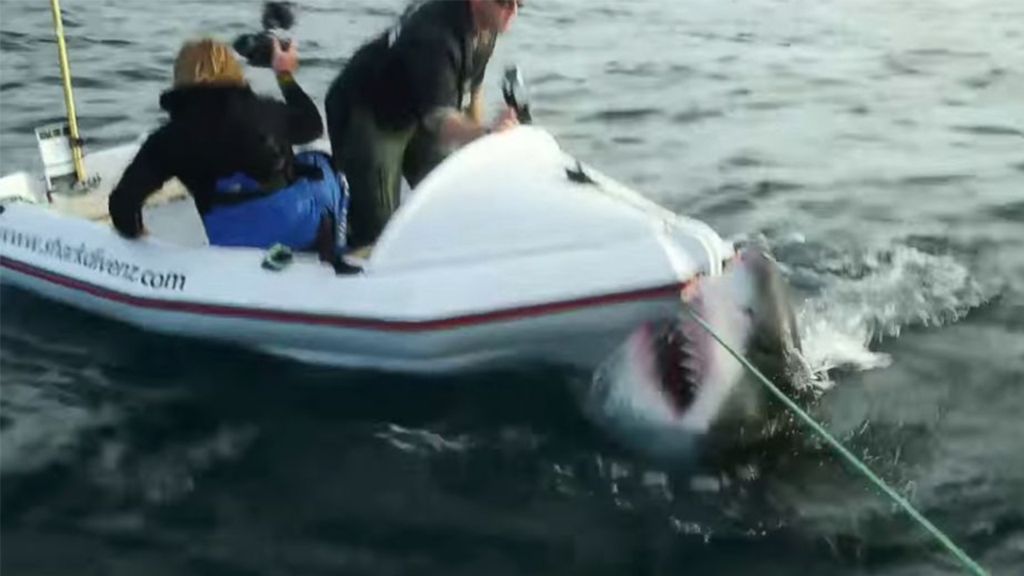 Τρόμος: Καρχαρίας παίρνει στο κυνήγι βάρκα με τουρίστες! | ΒΙΝΤΕΟ
