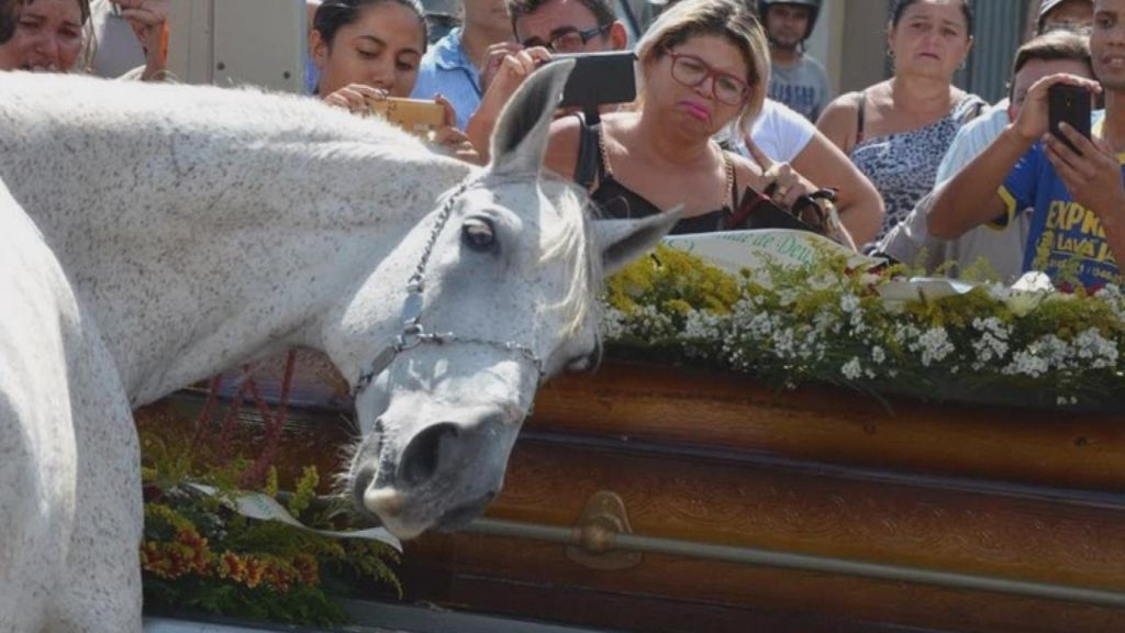 Συγκίνηση: Άλογο σπαράζει στην κηδεία του αφεντικού του! | ΒΙΝΤΕΟ