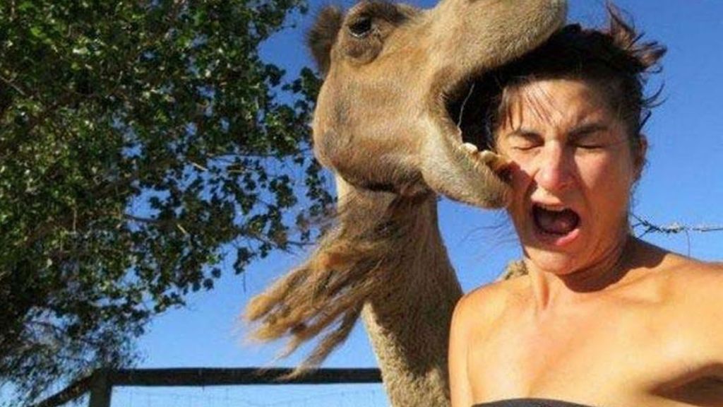 Τρελά γέλια: Τα ζώα περνούν στην... αντεπίθεση! | ΒΙΝΤΕΟ