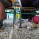 δασκαλα φιλοξενησε σκυλακι στα χανια
