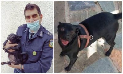 Αστυνομικός σκυλίτσα