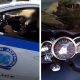 βίντεο με μοτοσικλετιστη και αστυνομικους