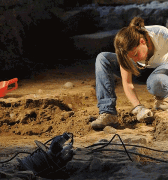 αρχαιολογος σε ανασκαφη